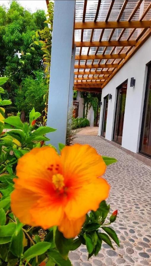 Hotel El Viajero La Libertad Exterior foto